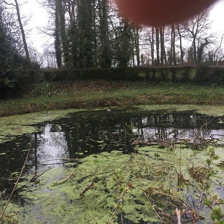 Le Colombier De Royaumont Villa Saint-Arnoult  Bagian luar foto