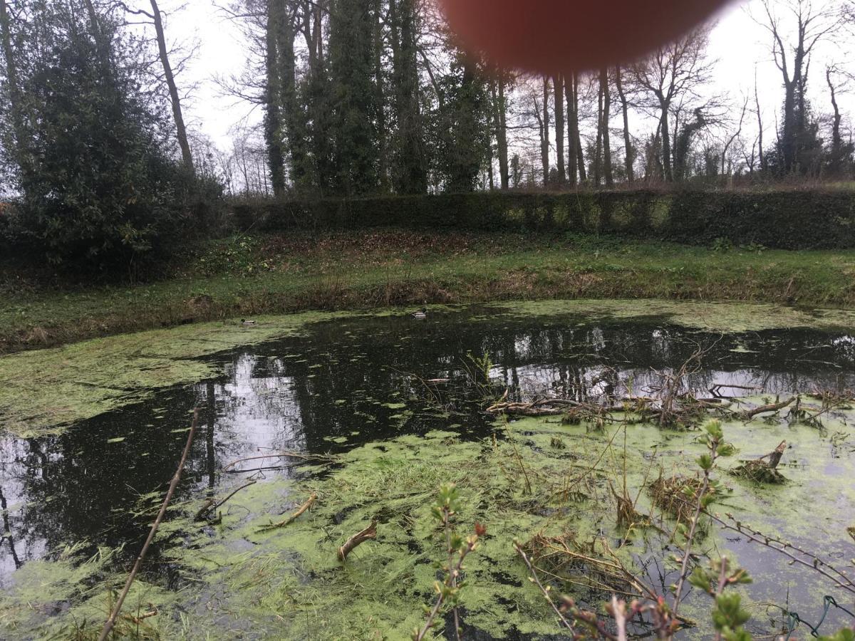 Le Colombier De Royaumont Villa Saint-Arnoult  Bagian luar foto